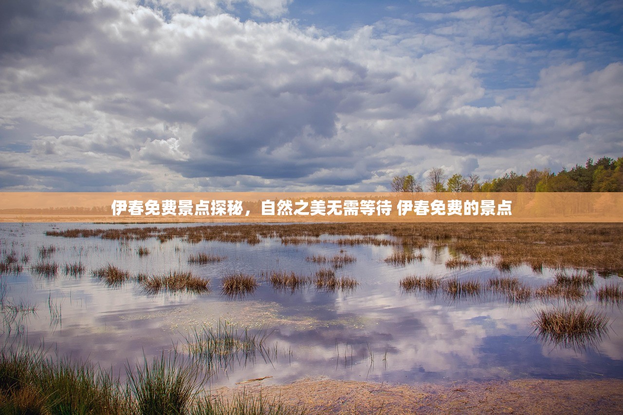 伊春免费景点探秘，自然之美无需等待 伊春免费的景点