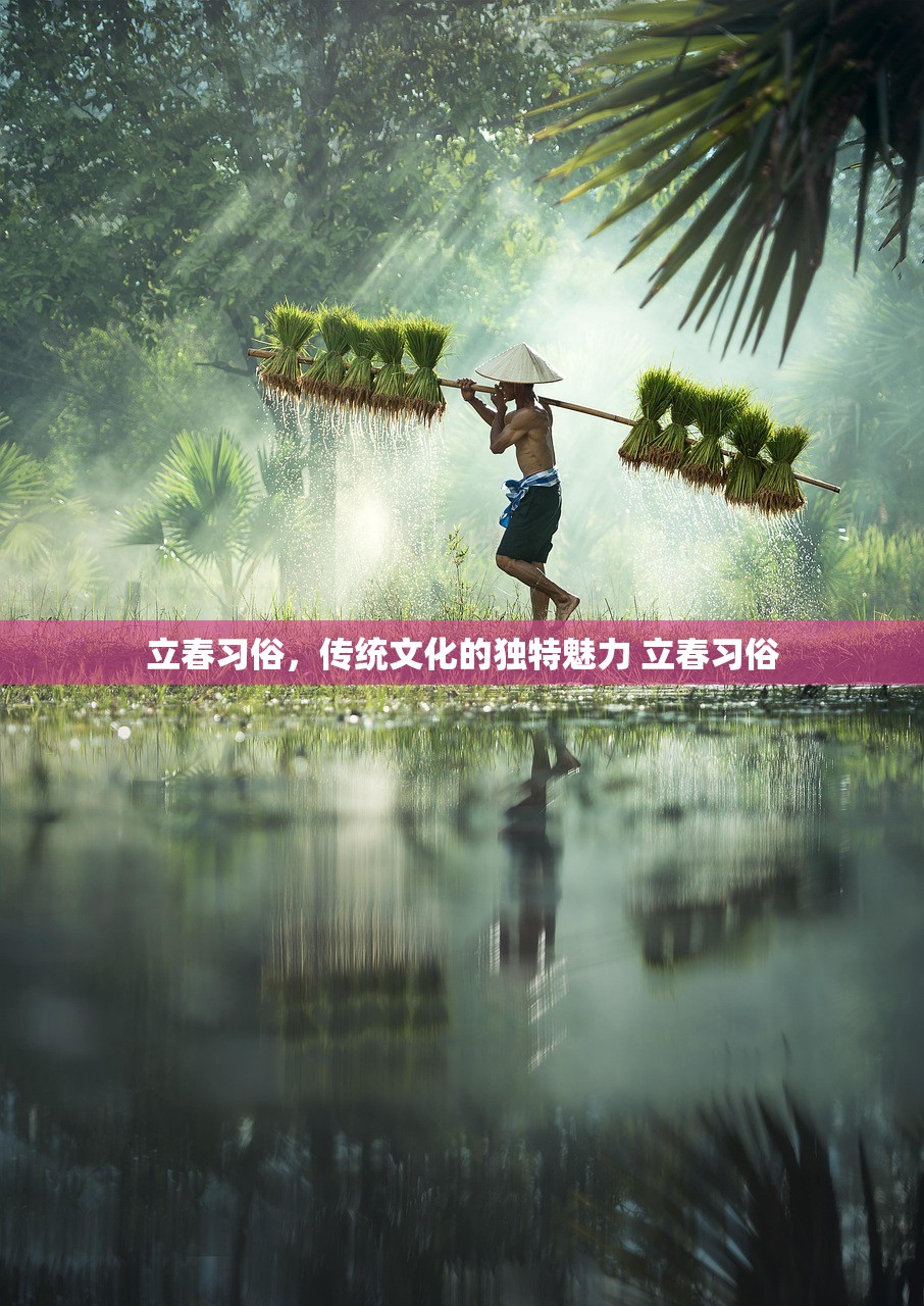立春习俗，传统文化的独特魅力 立春习俗