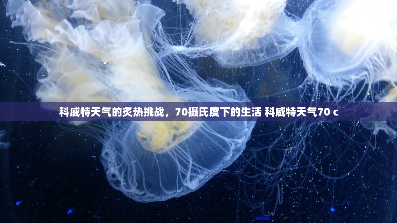 科威特天气的炙热挑战，70摄氏度下的生活 科威特天气70 c