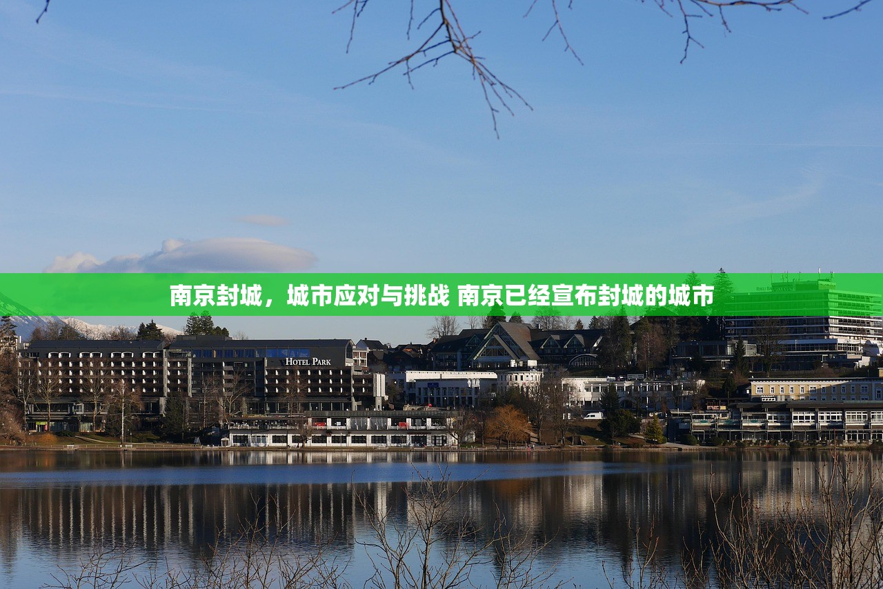 南京封城，城市应对与挑战 南京已经宣布封城的城市