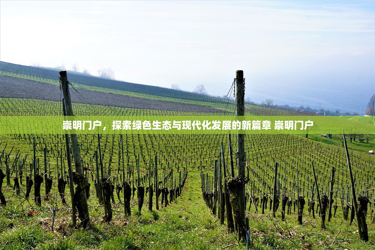 崇明门户，探索绿色生态与现代化发展的新篇章 崇明门户