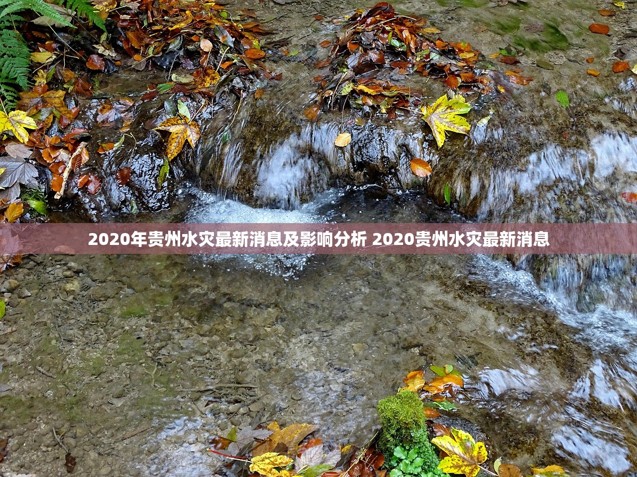2020年贵州水灾最新消息及影响分析 2020贵州水灾最新消息