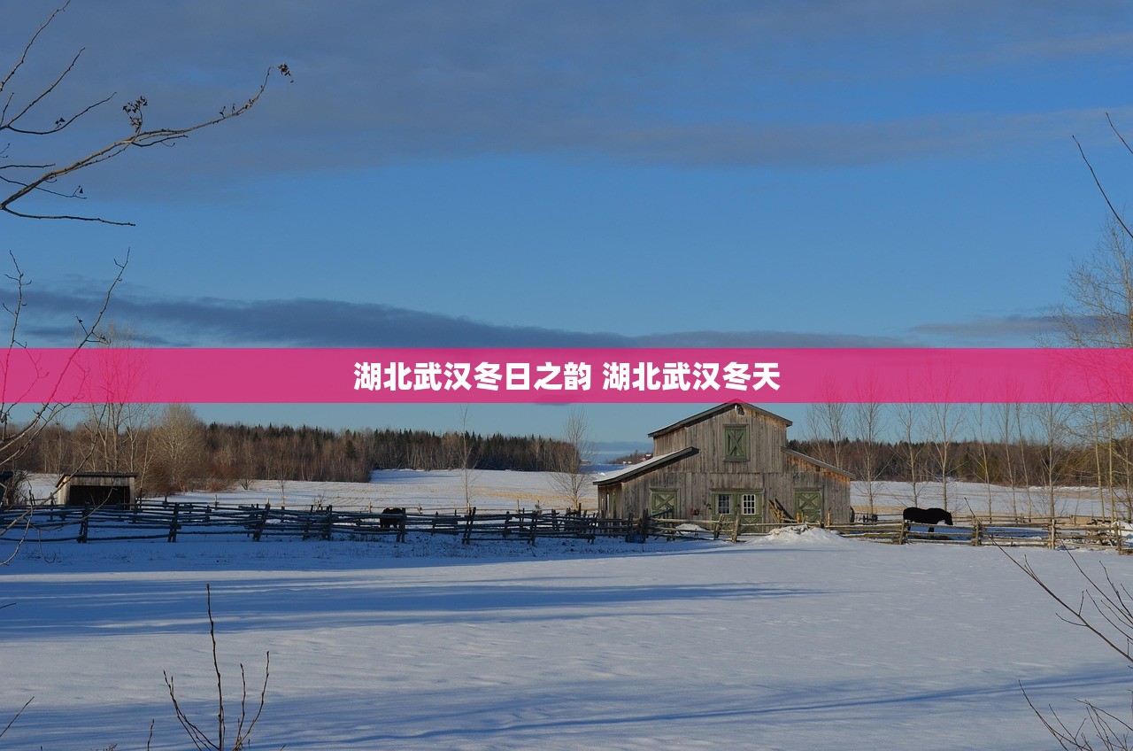 湖北武汉冬日之韵 湖北武汉冬天