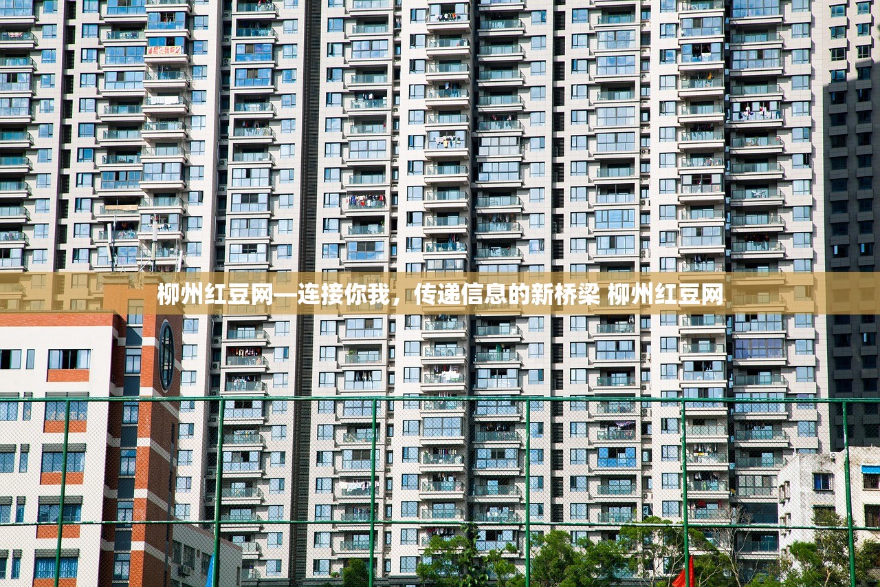 柳州红豆网—连接你我，传递信息的新桥梁 柳州红豆网