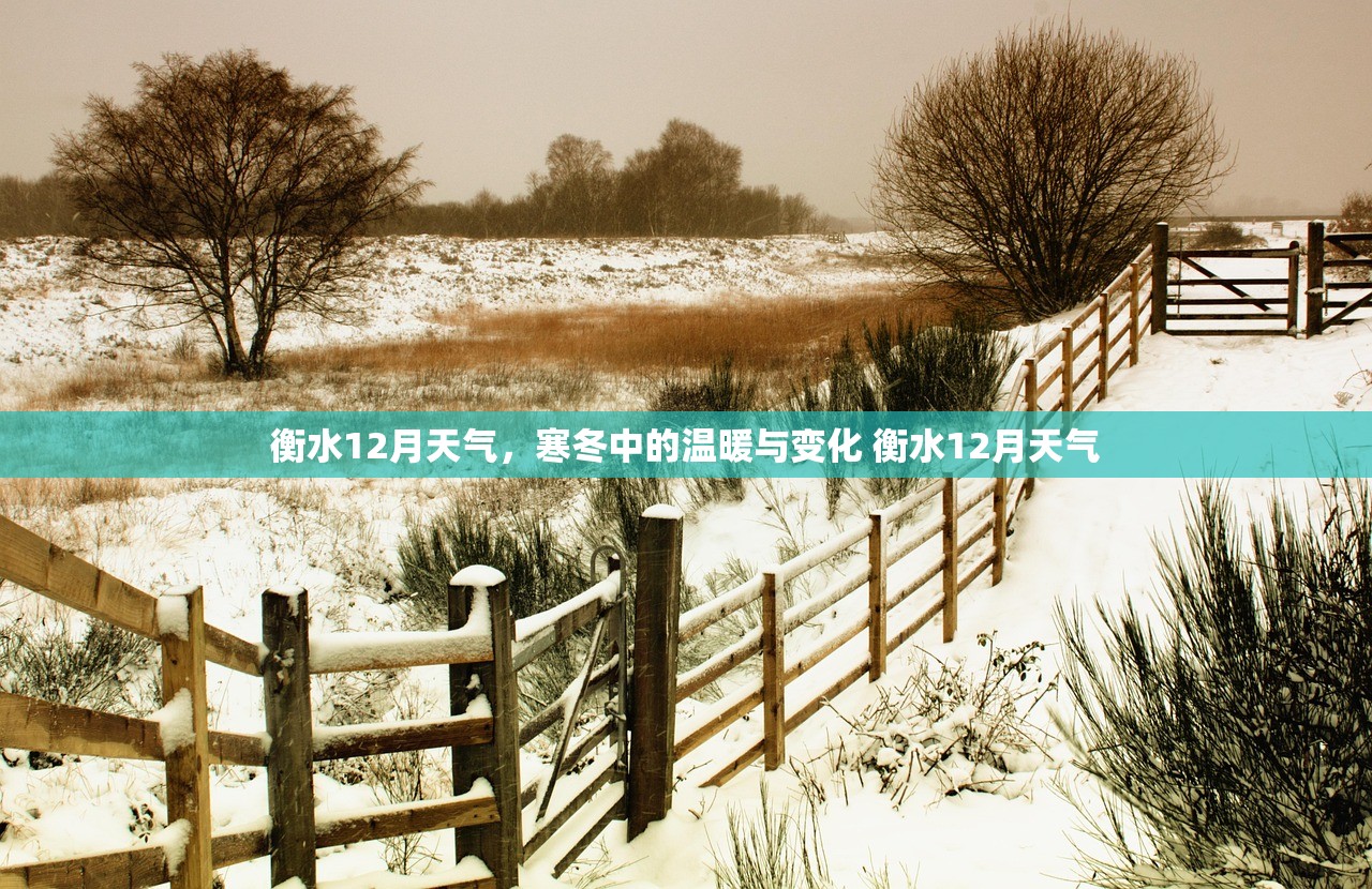 衡水12月天气，寒冬中的温暖与变化 衡水12月天气