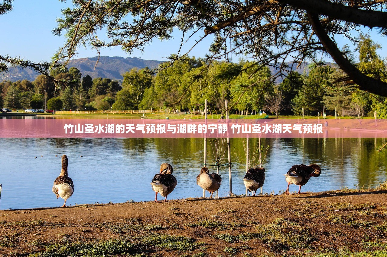竹山圣水湖的天气预报与湖畔的宁静 竹山圣水湖天气预报