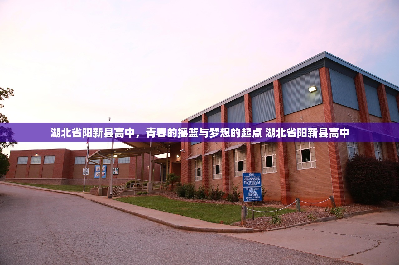 湖北省阳新县高中,青春的摇篮与梦想的起点 湖北省阳新县高中 湖北省阳新县高中,青春的摇篮与梦想的起点 湖北省阳新县高中