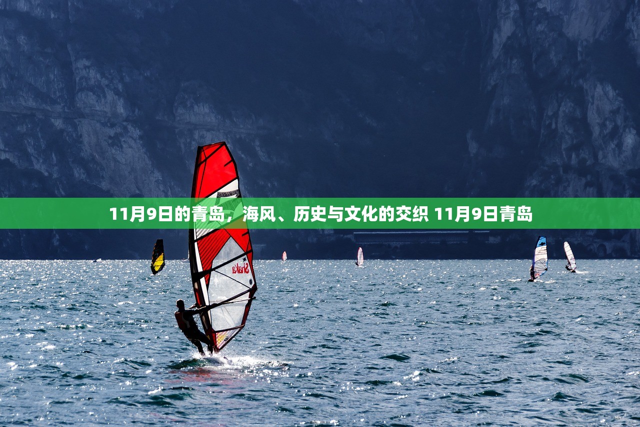 11月9日的青岛，海风、历史与文化的交织 11月9日青岛