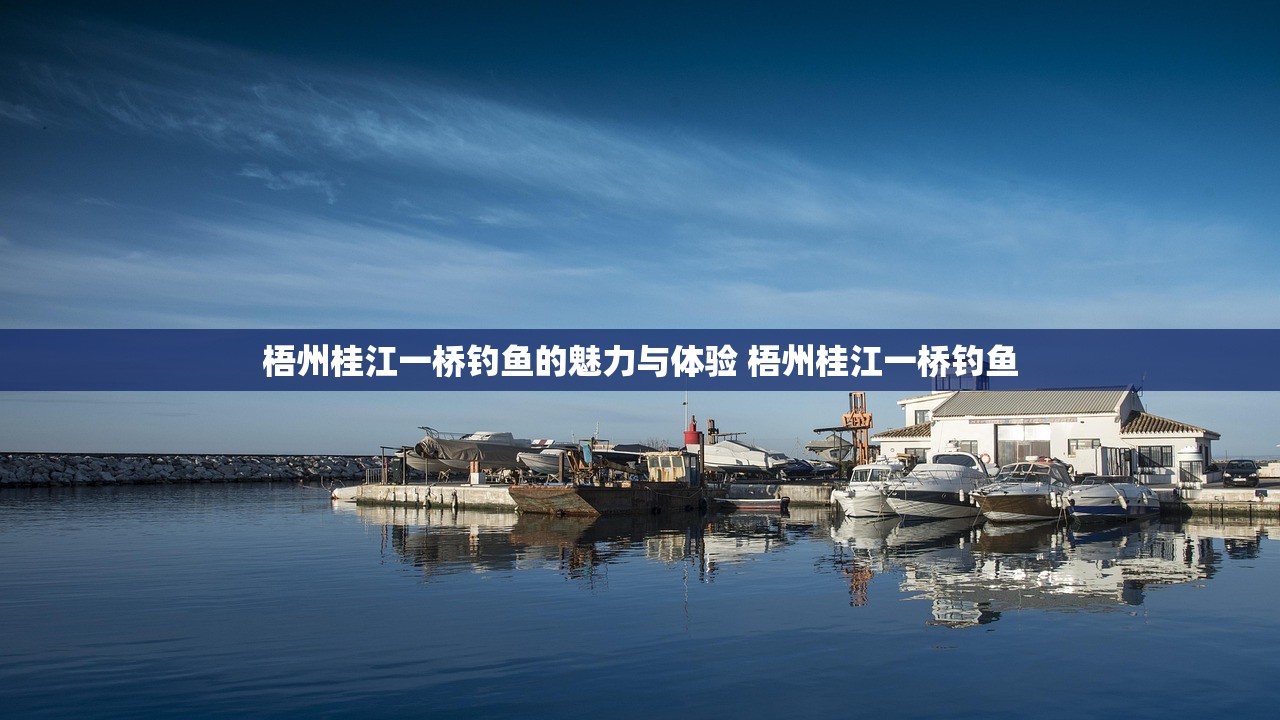 梧州桂江一桥钓鱼的魅力与体验 梧州桂江一桥钓鱼