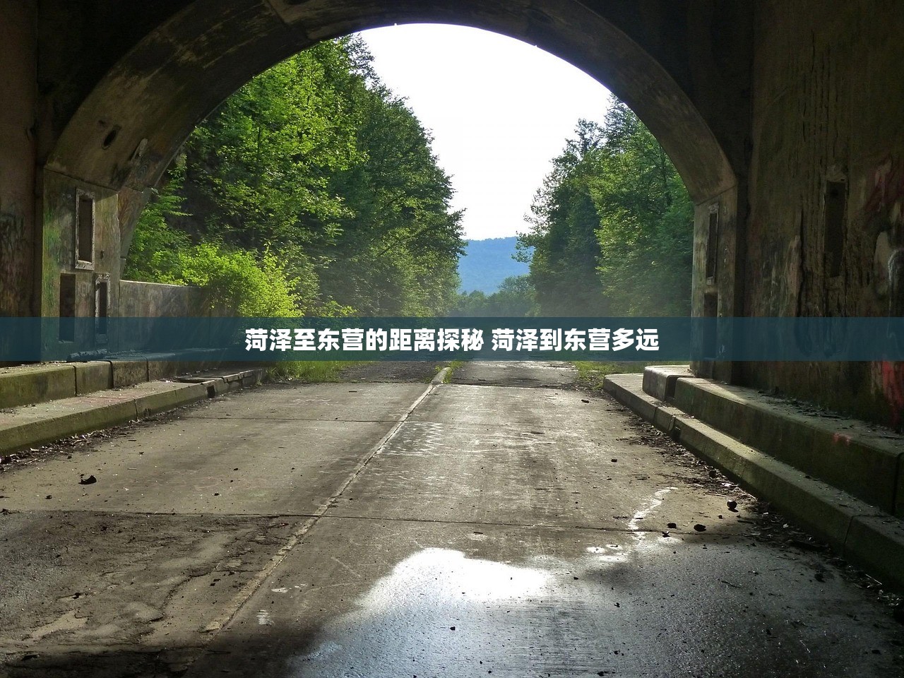 菏泽至东营的距离探秘 菏泽到东营多远 菏泽至东营的距离探秘 菏泽到东营多远