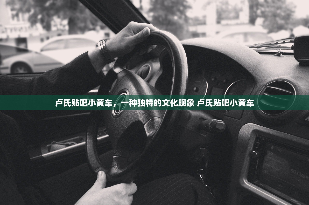 卢氏贴吧小黄车，一种独特的文化现象 卢氏贴吧小黄车