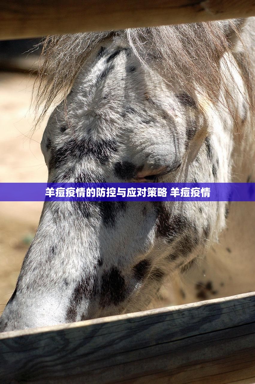 羊痘疫情的防控与应对策略 羊痘疫情