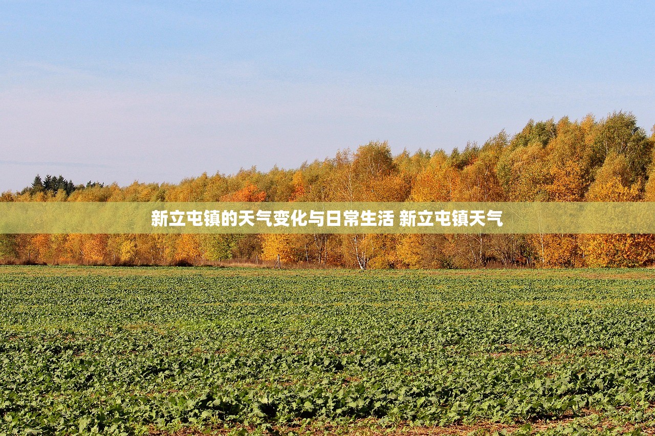 新立屯镇的天气变化与日常生活 新立屯镇天气