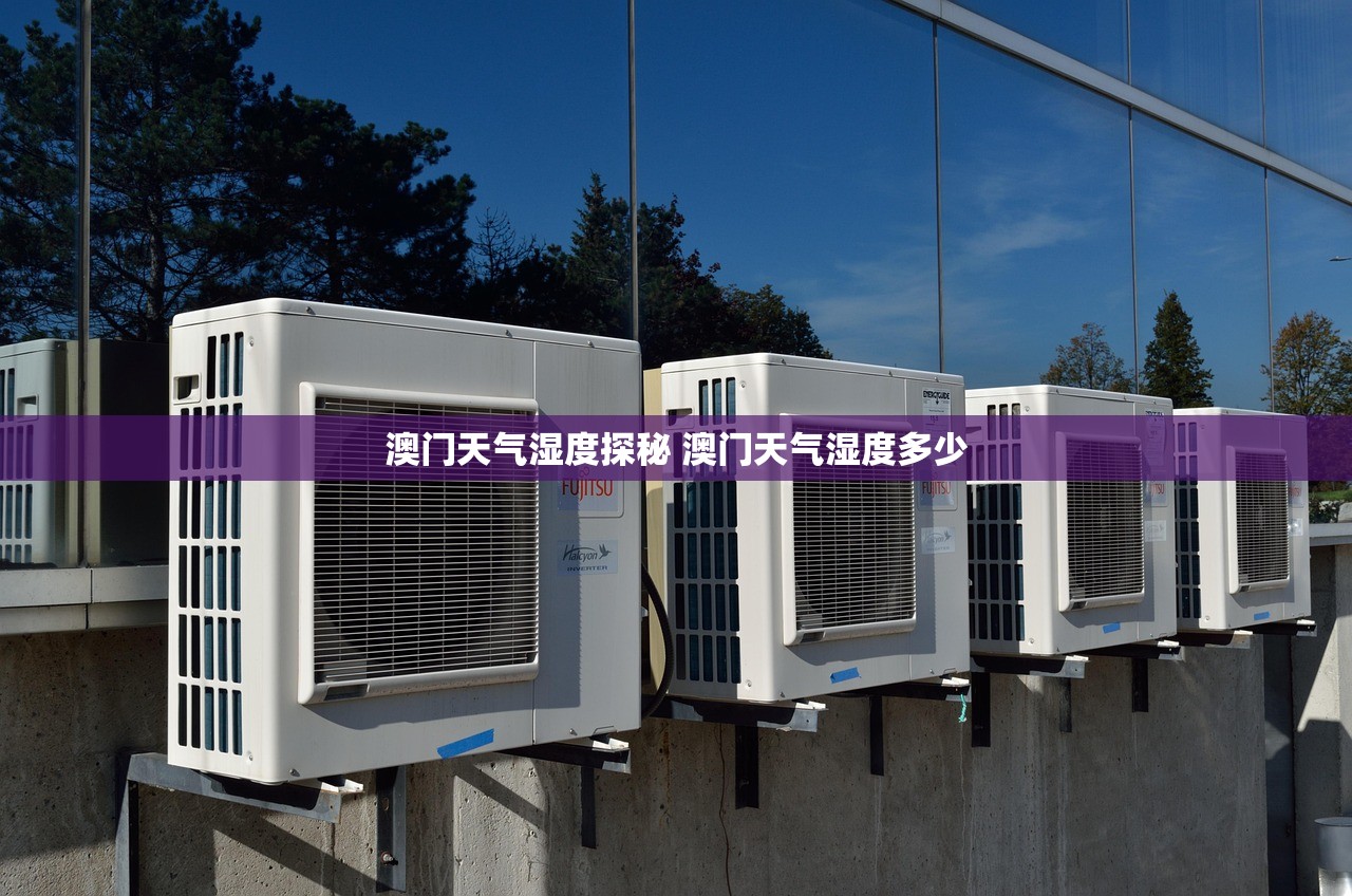 澳门天气湿度探秘 澳门天气湿度多少