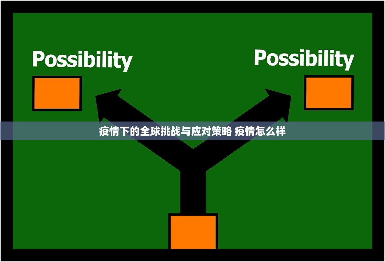 疫情下的全球挑战与应对策略 疫情怎么样
