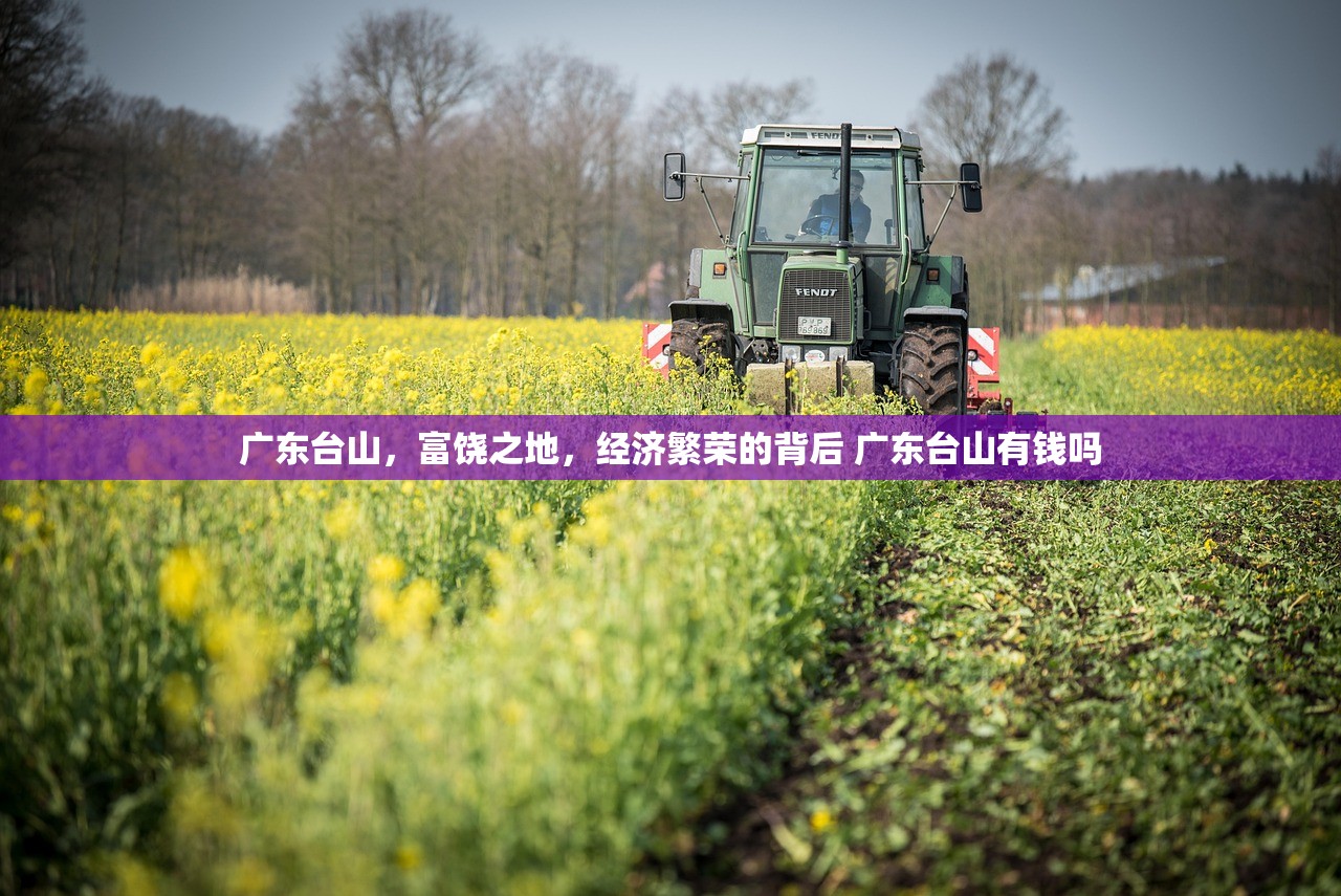 广东台山，富饶之地，经济繁荣的背后 广东台山有钱吗