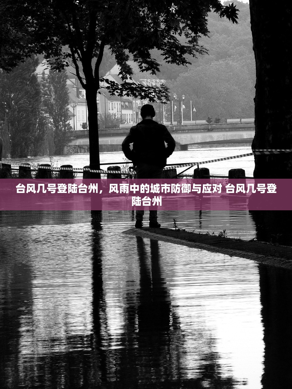 台风几号登陆台州，风雨中的城市防御与应对 台风几号登陆台州