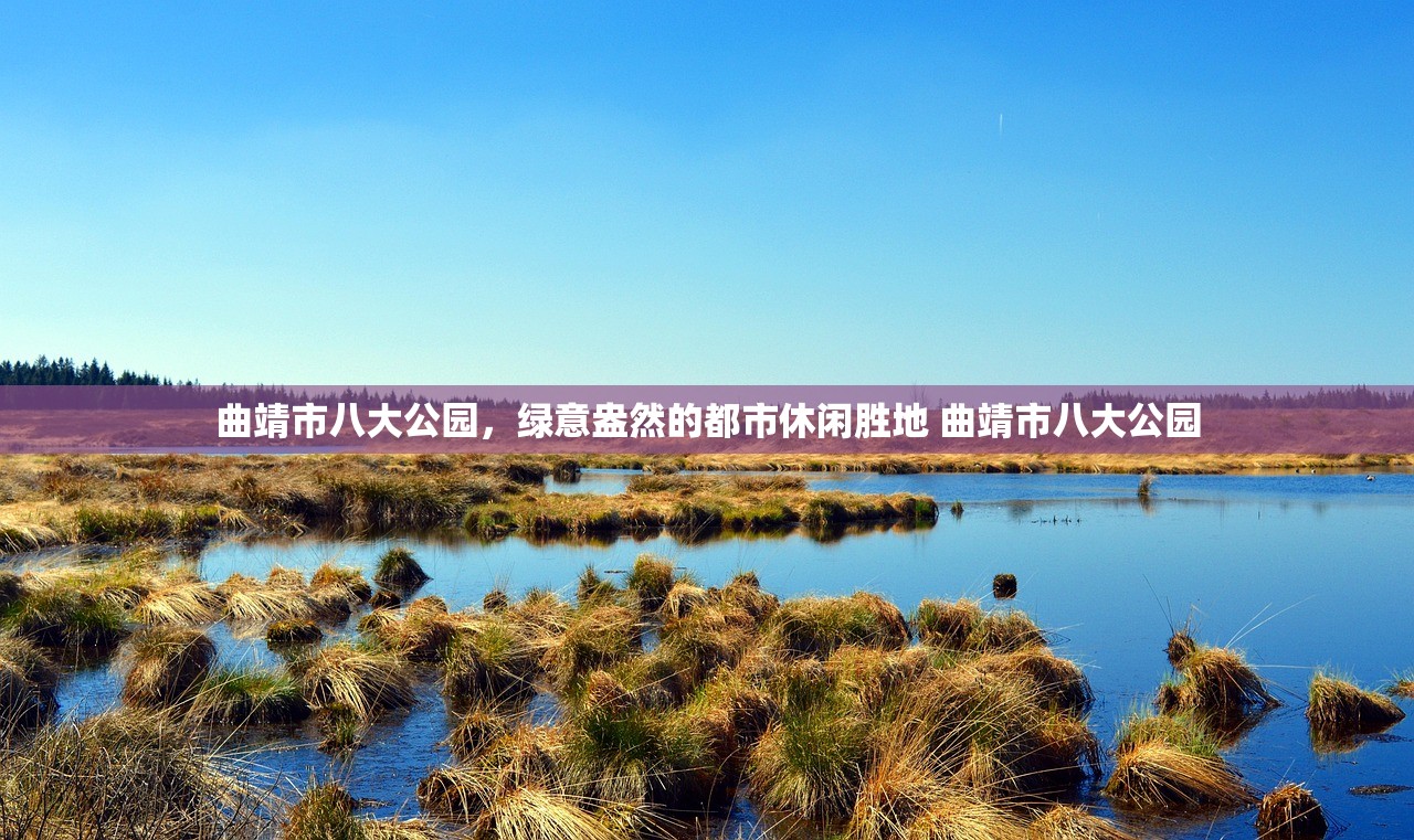 曲靖市八大公园,绿意盎然的都市休闲胜地 曲靖市八大公园 曲靖市八大公园,绿意盎然的都市休闲胜地 曲靖市八大公园