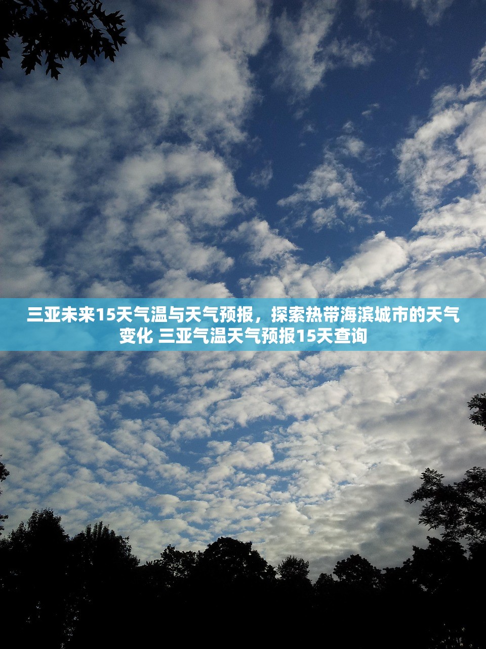 三亚未来15天气温与天气预报,探索热带海滨城市的天气变化 三亚气温天气预报15天查询 三亚未来15天气温与天气预报,探索热带海滨城市的天气变化 三亚气温天气预报15天查询