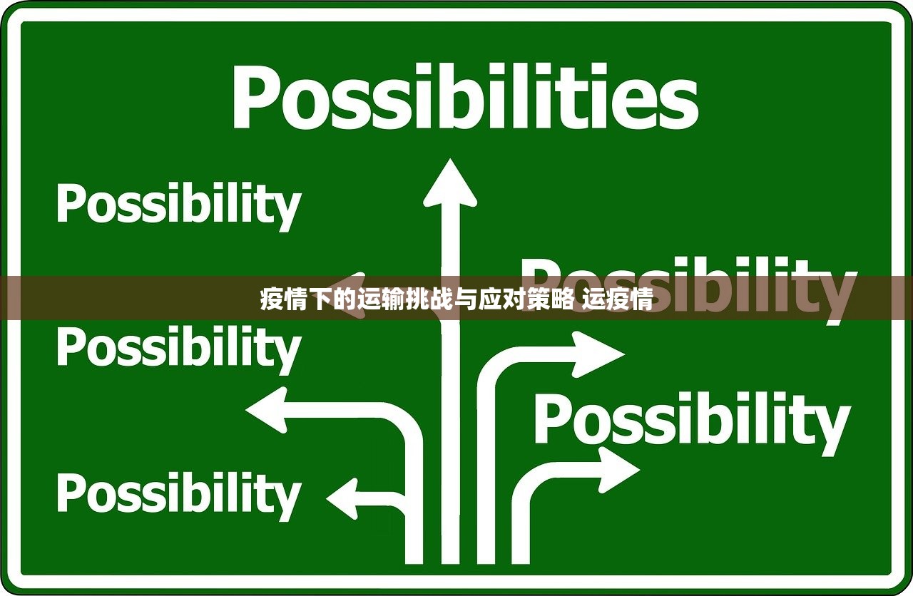 疫情下的运输挑战与应对策略 运疫情