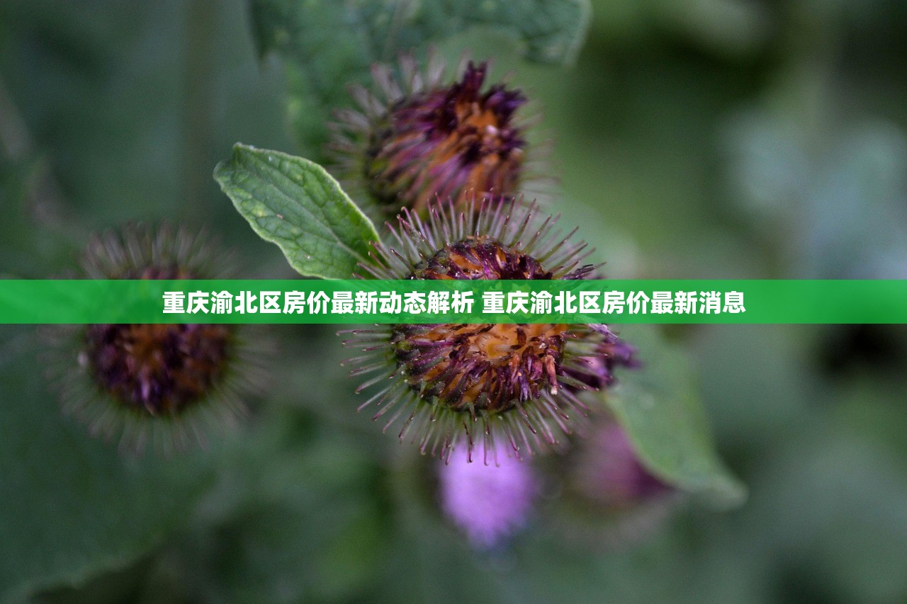 重庆渝北区房价最新动态解析 重庆渝北区房价最新消息