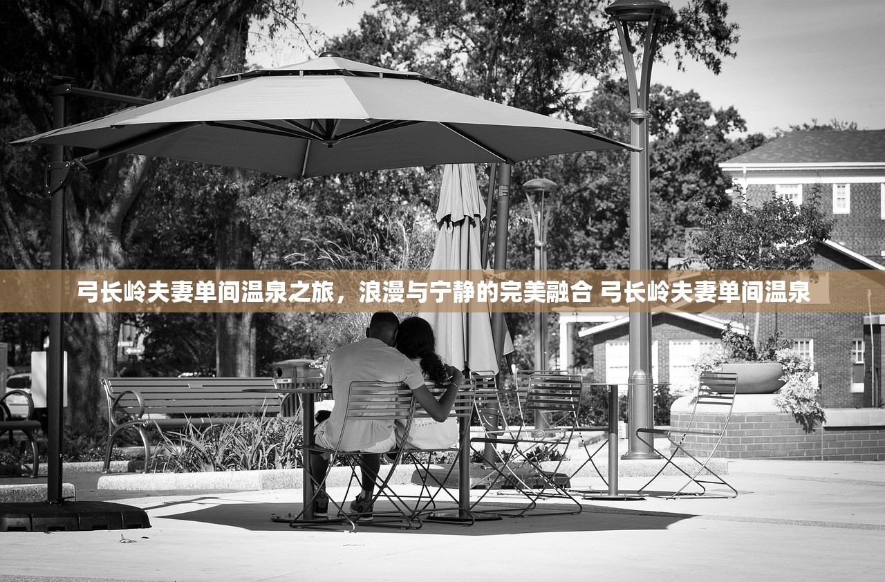 弓长岭夫妻单间温泉之旅，浪漫与宁静的完美融合 弓长岭夫妻单间温泉
