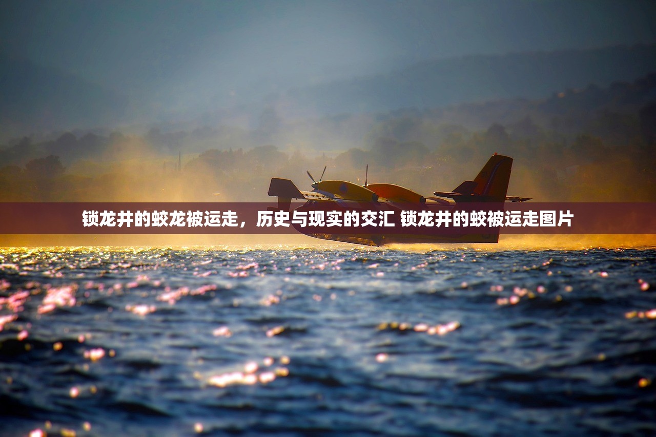 锁龙井的蛟龙被运走，历史与现实的交汇 锁龙井的蛟被运走图片