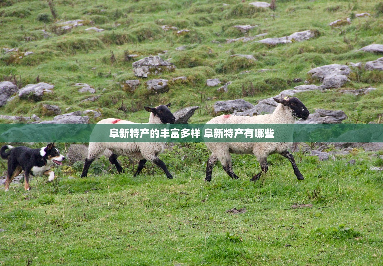 阜新特产的丰富多样 阜新特产有哪些