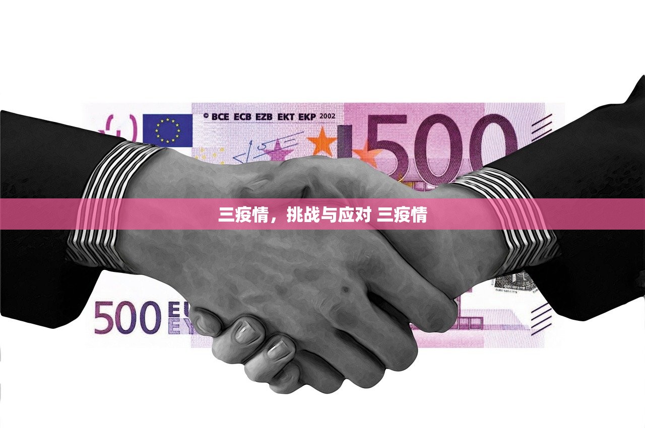三疫情,挑战与应对 三疫情 三疫情,挑战与应对 三疫情