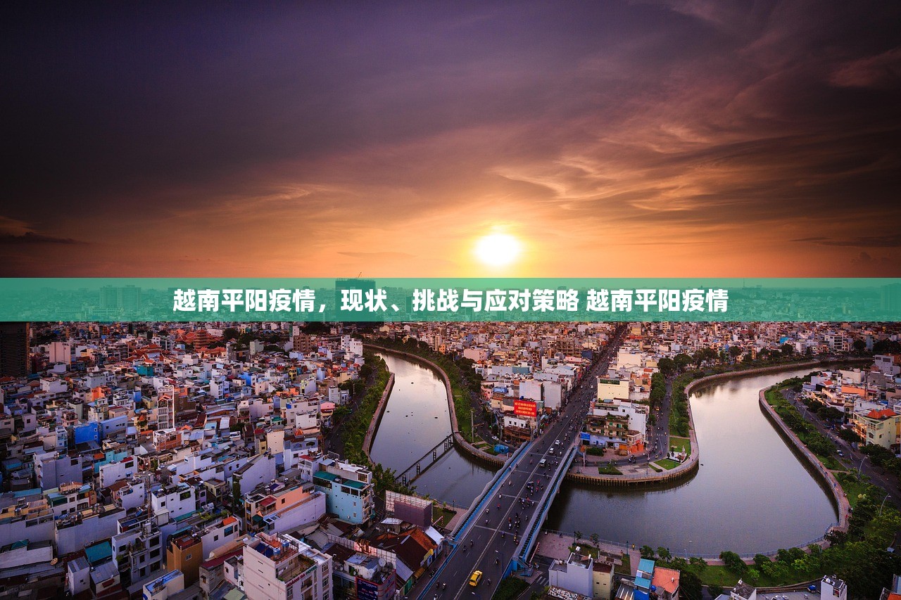 越南平阳疫情，现状、挑战与应对策略 越南平阳疫情
