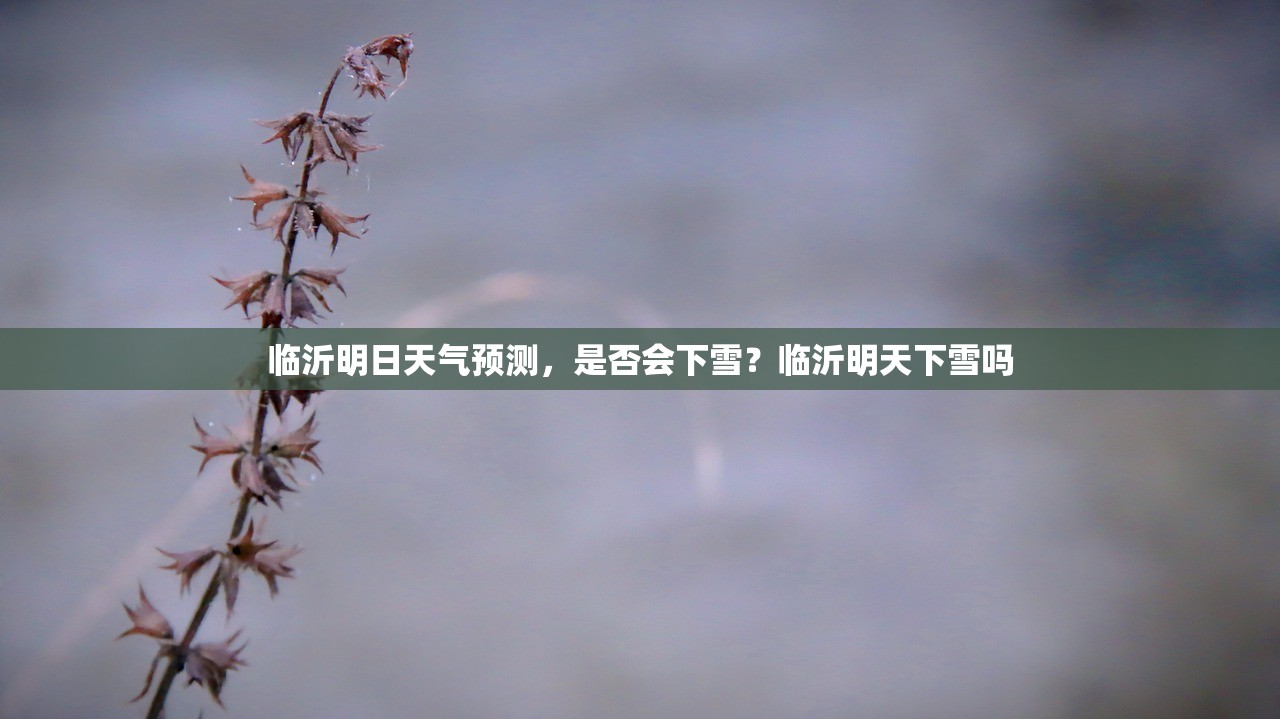 临沂明日天气预测，是否会下雪？临沂明天下雪吗