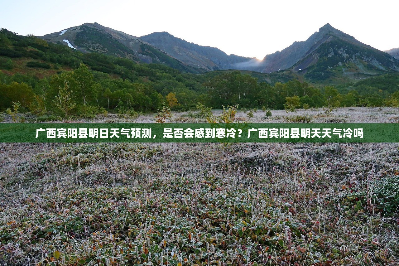 广西宾阳县明日天气预测，是否会感到寒冷？广西宾阳县明天天气冷吗