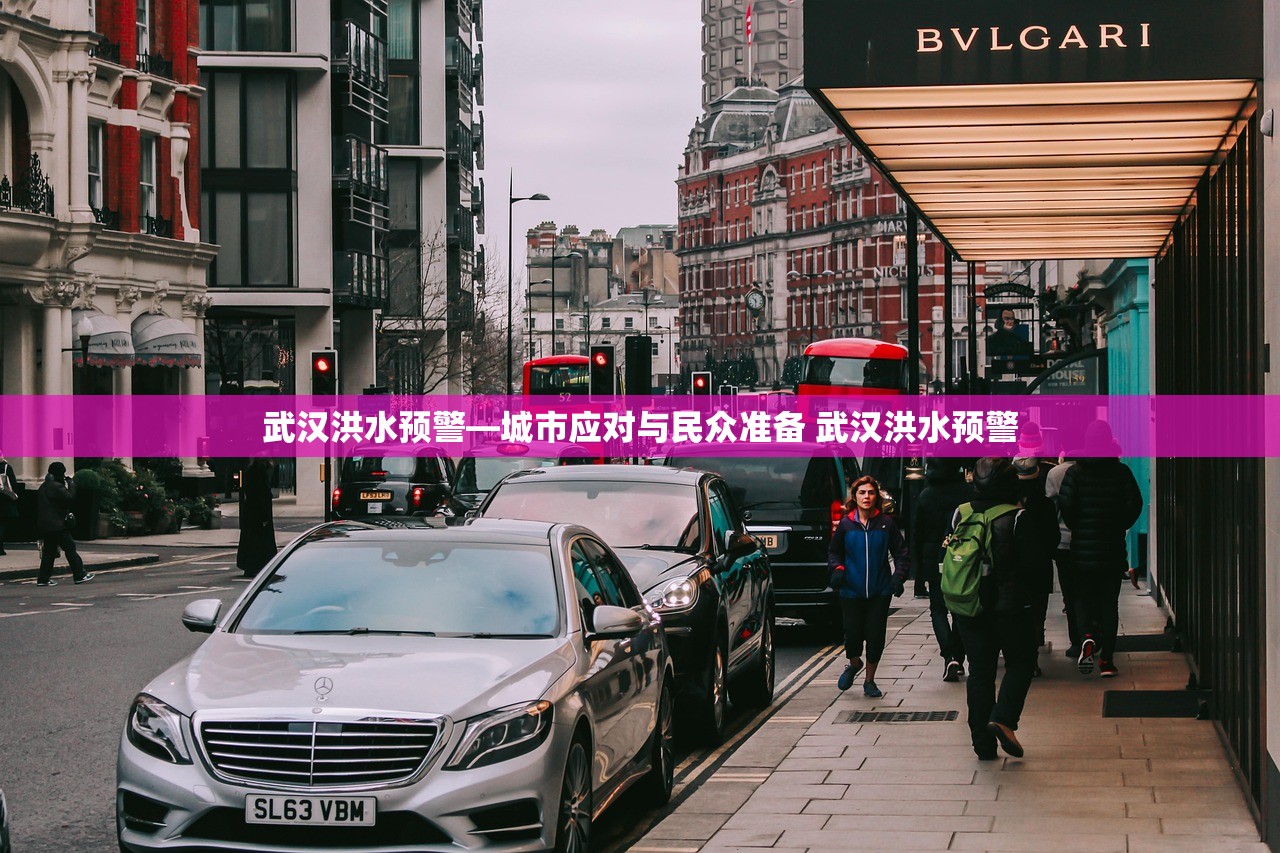 武汉洪水预警—城市应对与民众准备 武汉洪水预警