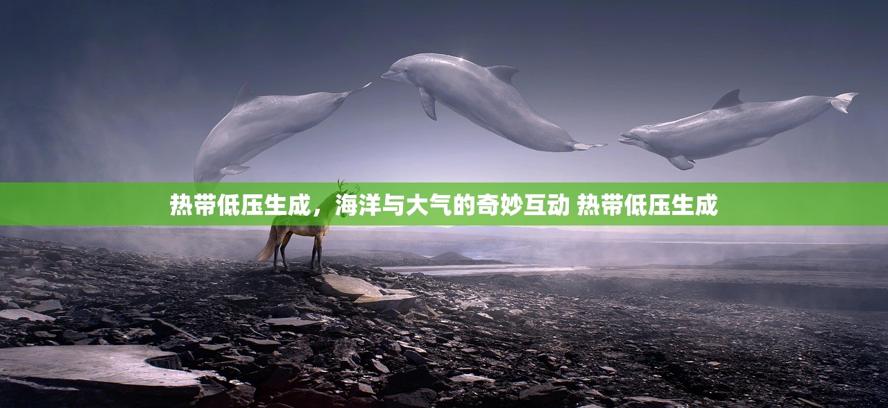 热带低压生成，海洋与大气的奇妙互动 热带低压生成