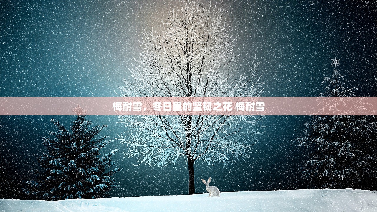 梅耐雪，冬日里的坚韧之花 梅耐雪
