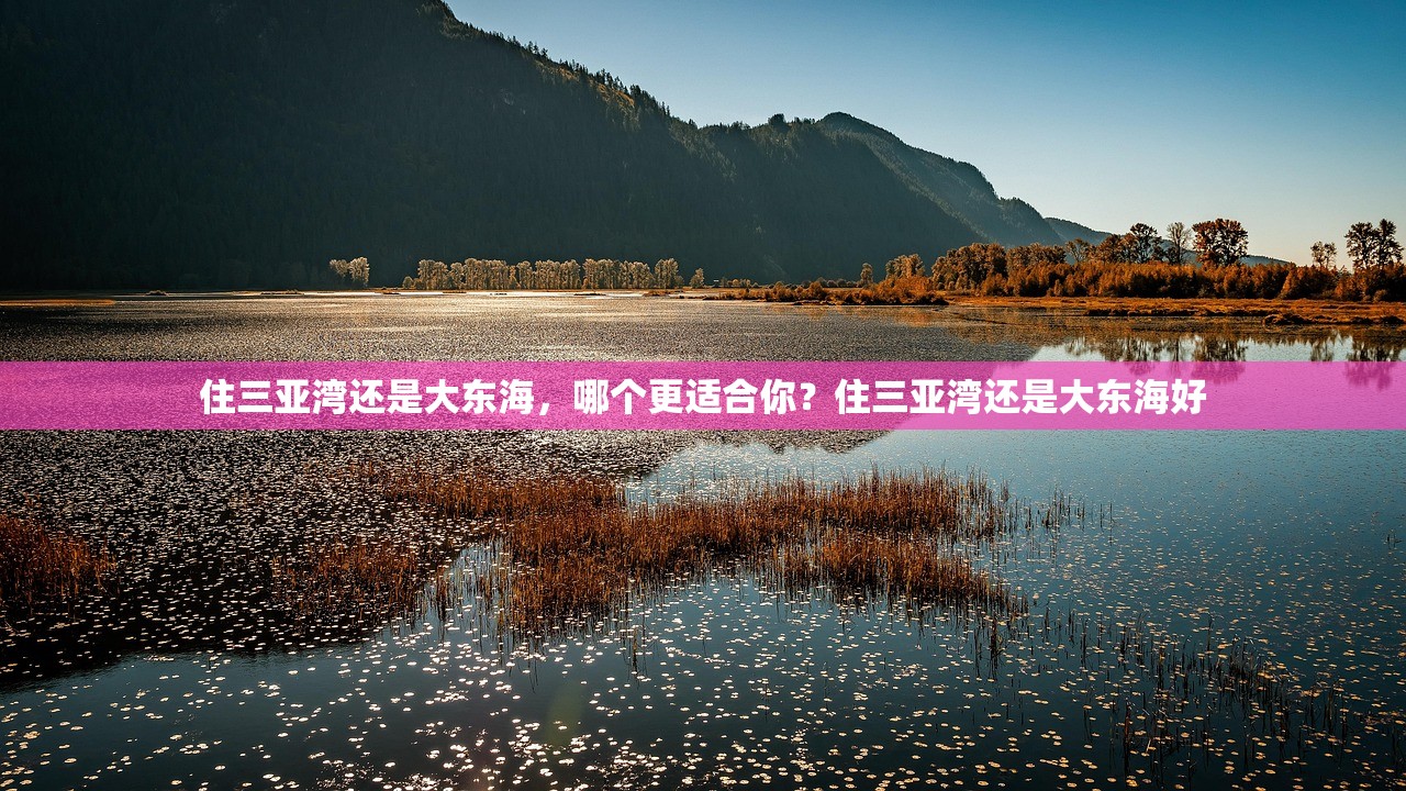 住三亚湾还是大东海,哪个更适合你?住三亚湾还是大东海好 住三亚湾还是大东海,哪个更适合你?住三亚湾还是大东海好