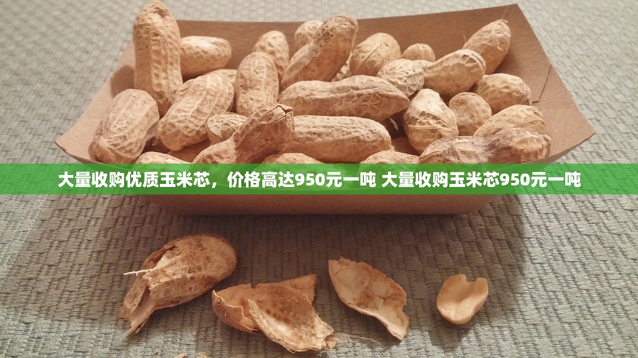 大量收购优质玉米芯，价格高达950元一吨 大量收购玉米芯950元一吨