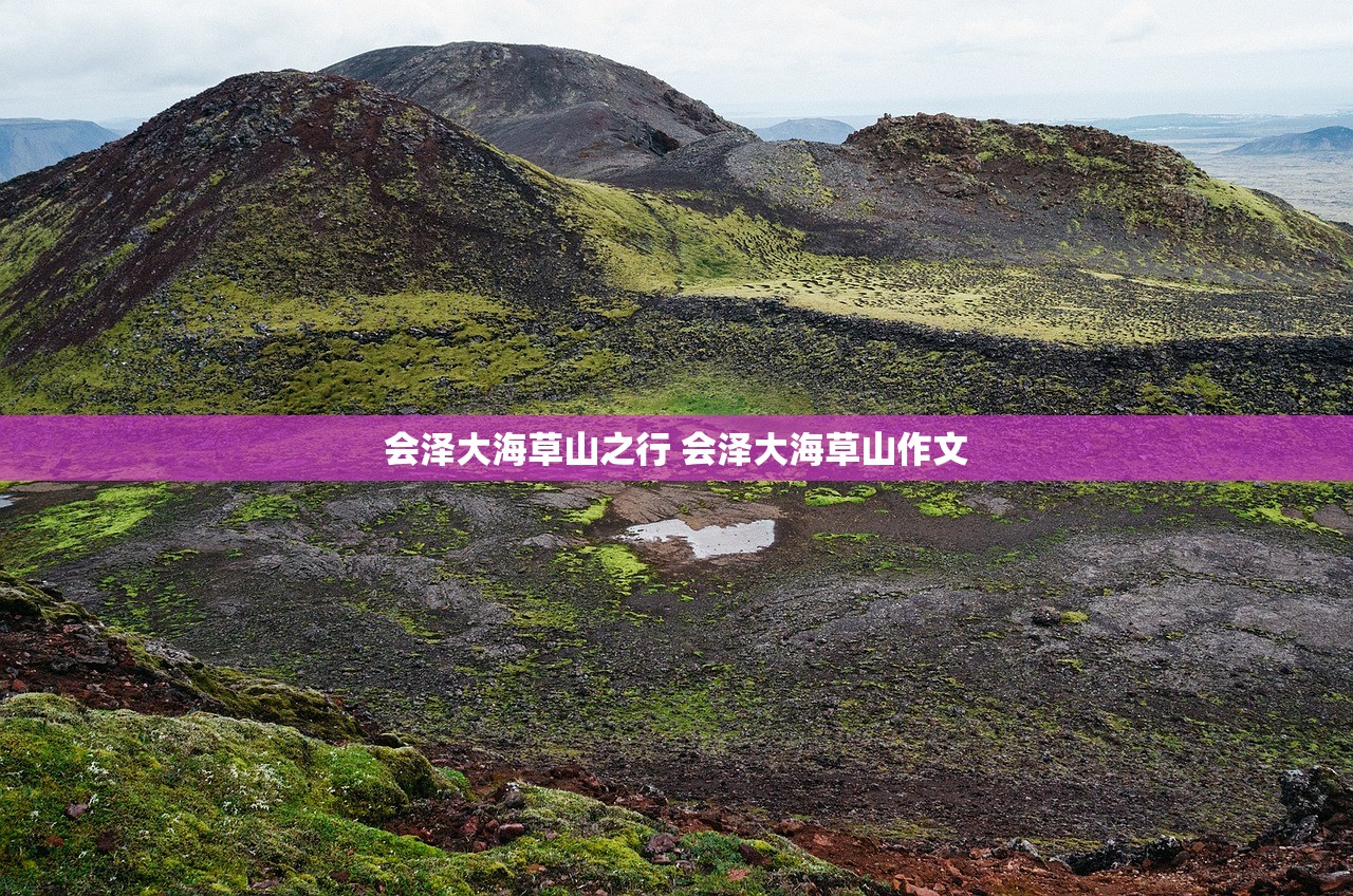 会泽大海草山之行 会泽大海草山作文