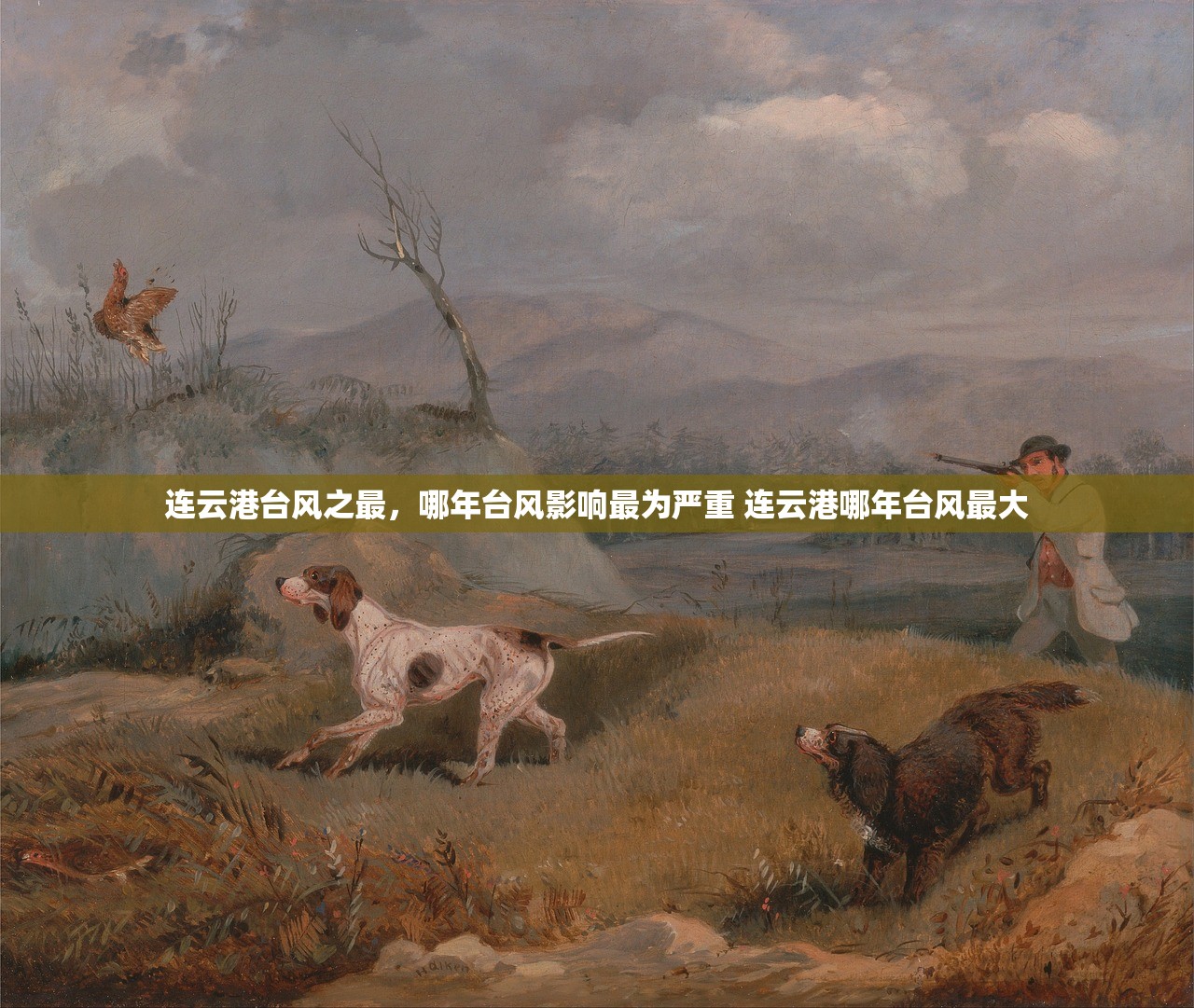 连云港台风之最，哪年台风影响最为严重 连云港哪年台风最大