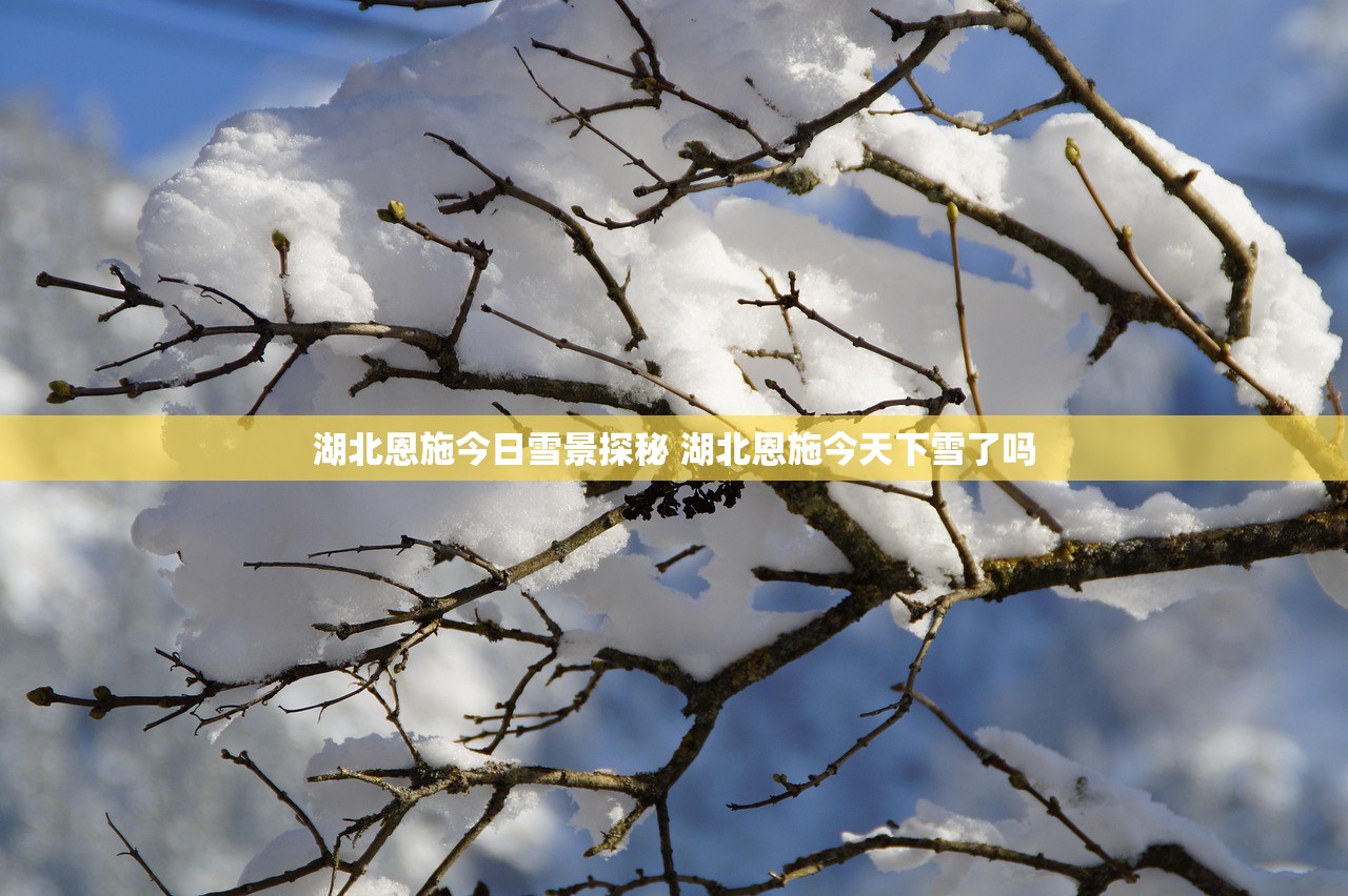 湖北恩施今日雪景探秘 湖北恩施今天下雪了吗