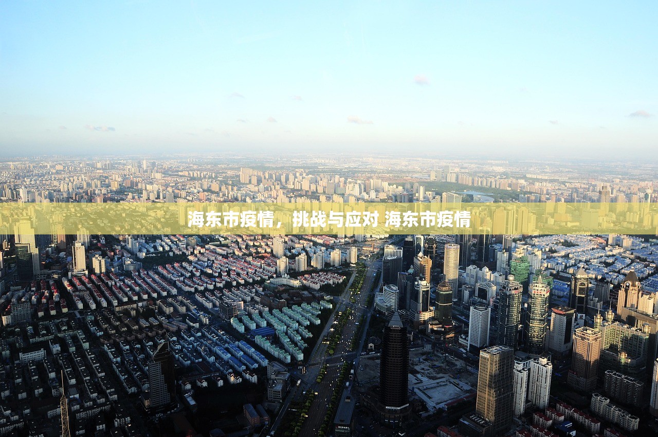 海东市疫情，挑战与应对 海东市疫情