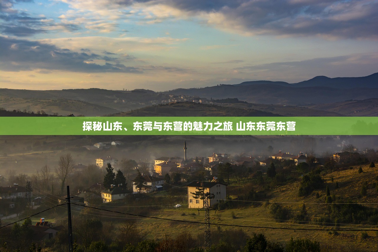 探秘山东、东莞与东营的魅力之旅 山东东莞东营