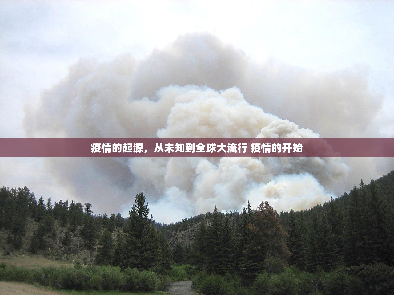 疫情的起源，从未知到全球大流行 疫情的开始
