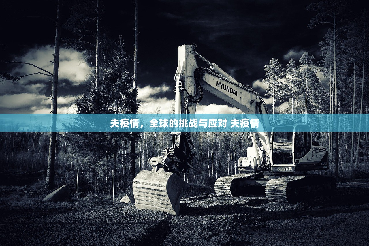 夫疫情，全球的挑战与应对 夫疫情