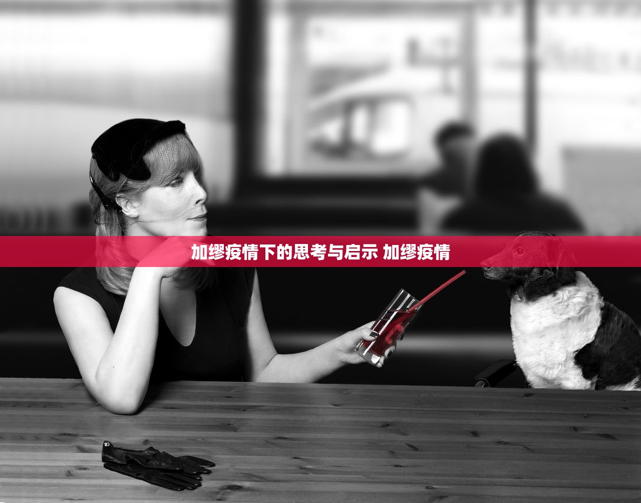 加缪疫情下的思考与启示 加缪疫情 加缪疫情下的思考与启示 加缪疫情