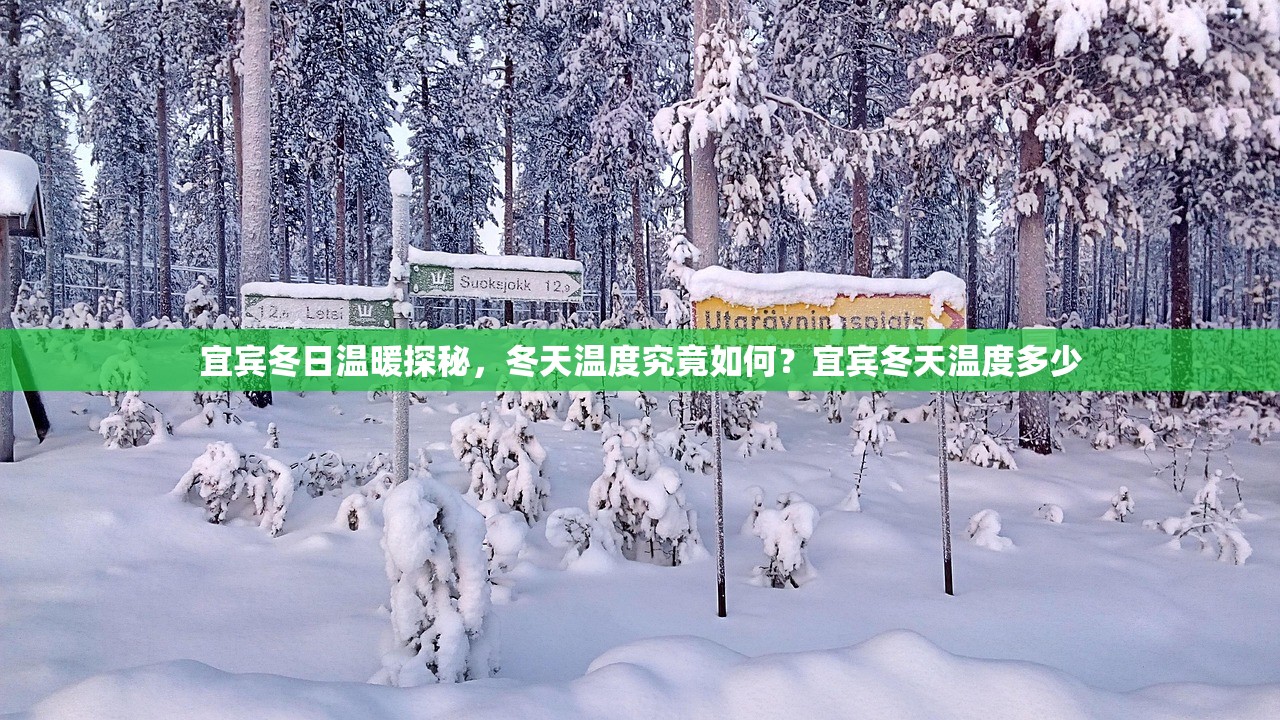 宜宾冬日温暖探秘，冬天温度究竟如何？宜宾冬天温度多少