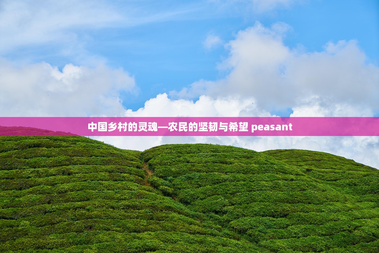 中国乡村的灵魂—农民的坚韧与希望 peasant