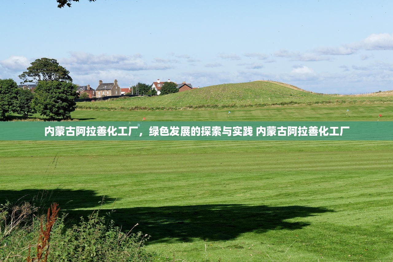 内蒙古阿拉善化工厂，绿色发展的探索与实践 内蒙古阿拉善化工厂