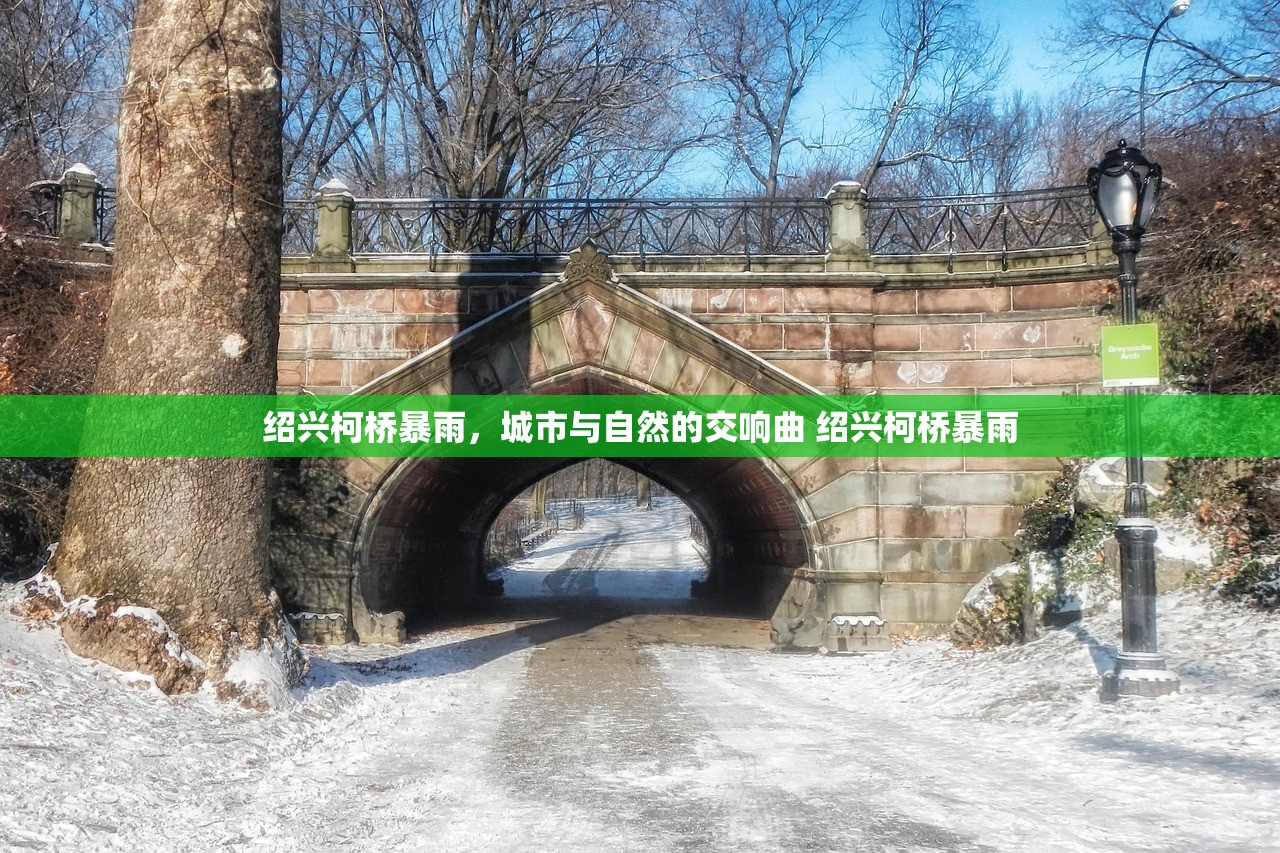绍兴柯桥暴雨，城市与自然的交响曲 绍兴柯桥暴雨