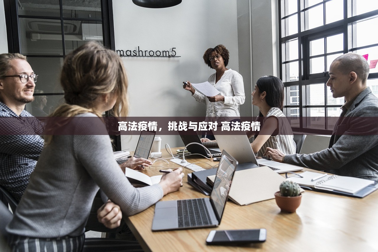 高法疫情，挑战与应对 高法疫情